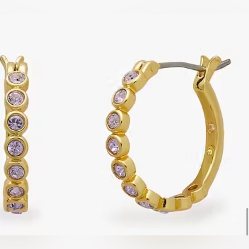 'Full Circle' Light Amethyst Huggie Earrings-NWOT